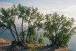 © Katie Chang/Stocksy - Lonely man sitting under trees on sand dunes on a Summer Afternoon