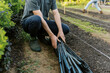 © Serena Burroughs/Stocksy - man putting out drip tubing at a farm to start a new row