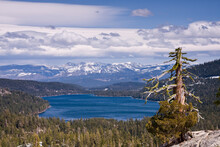 Donner Lake And The Sierra Mountains And A Dead Pine Tree On A Partly Cloudy Day In California