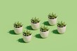 © Davide Illini/Stocksy - 3d Pattern of Green Home plants in Pots.