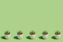 3d Pattern Of Green Home Plants In Pots.