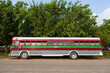 © Shava Cueva/Stocksy - horizontal side of an old school bus in front of a big tree