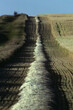 © Ron Mellott/Stocksy - barley field grain harvesting agriculture central Saskatchewan
