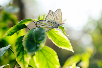 Closeup hand drawn paper butterfly in garden outdoors