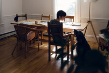 Tween And Dog Doing Homework 