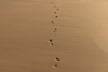 Footprints In The Sand