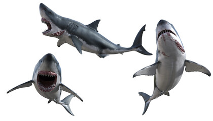 Wall Mural - 3d render white shark creature from the sea