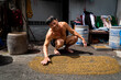 © Matt Hunt/Stocksy - An urban farmer smiles while spreading bean sprouts on the street