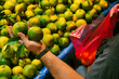 © Duet Postscriptum/Stocksy - Adult man chooses fresh tangerines at a street market