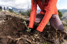 Cooperative woman, volunteer gardening against climate change