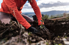 Climate Change Activist Planting Trees
