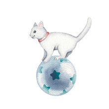 Cute White Cat On The Ball. Watercolor Circus Illustration Isolated On White Background. Funny Pet. Vintage Style. Hand Painted Drawing For Postcards, Invitations, Scrapbooking