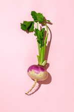 Fresh Turnip