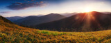 Fototapeta Góry - Amazing  landscape in the mountains at sunrise. View of  wild grass on mountain meadows. Natural landscape at the summer time. Concept of the awakening wildlife.