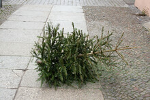 Christmas Tree On The Street Of Berlin