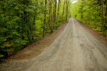 A Road Leading Into Sawyer Pond Just Outside Of Greenville, ME.