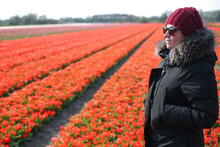 Young Woman Looking Toward Horizon Standing In A Tulip Field