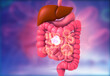 Human digestive system with virus bacteria. 3d illustration..