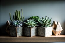  A Group Of Three Succulents Sitting On Top Of A Wooden Shelf Next To Each Other On A Shelf Next To A Wall.  Generative Ai