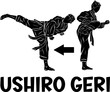 illustration of karateka silhouette doing tecnique