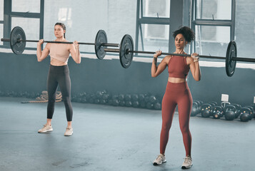 Wall Mural - Gym, barbell workout and diversity women doing muscle fitness performance, exercise or body building. Strong girl, health lifestyle and strength training athlete, people or bodybuilder weightlifting