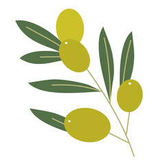 olive fruit and leaf