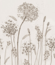 Dandelions On A Beige Background. Fresco. Vintage Drawing.