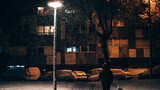 Fototapeta Morze - night in the city with snow