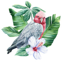 Tropical Pink Bird And Palm Leaves Watercolor On Isolated White Background Botanical Illustration, Jungle Design, Parrot Cockatoo