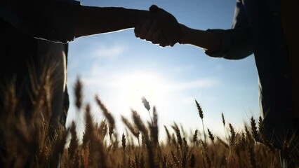 Sticker - handshake farmer wheat. business partnership agriculture concept. silhouette two farmers shaking hands conclude a contract agreement in a field sun of wheat glare. agriculture handshake concept