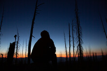 A Silhouetted Man Looks Up At Twilight In A Burned Forest In Montana.
