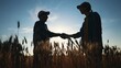 © maxximmm - handshake farmer wheat. business partnership agriculture concept. silhouette two farmers shaking hands conclude a contract agreement in a field of wheat glare. agriculture sun handshake concept