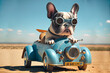 Hund fährt im blauen Auto, generative AI