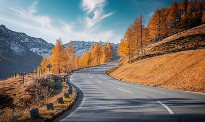 Fototapete - Wonderful view of road in beautiful orange forest at sunset in autumn. Colorful landscape with roadway, pine trees in fog in Grossglockner High Alpine road in fall. Top view of winding road.