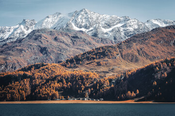 Fototapete - Amazing natural autumn scenery. view of snow capped mountain peak in Switzerland during golden autumn season. Beautiful mountain landscape in Alps with Lake Sils. Amazing Nature background