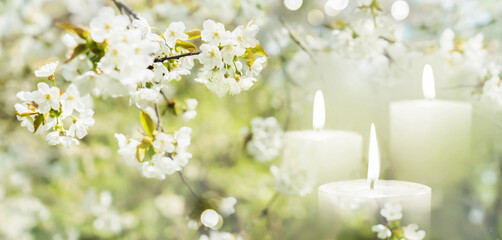 Wall Mural - beautiful flowering tree in spring with burning white candles decoration on blurred garden background, beautiful contemplative atmosphere outside in nature