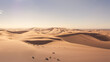 desert sand dunes in Sahara, Morocco
