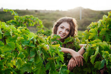 A Cheerful Woman Peeks Out Of Grape Leaves In The Summer
