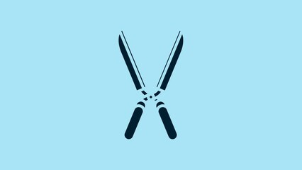 Canvas Print - Blue Gardening handmade scissors for trimming icon isolated on blue background. Pruning shears with wooden handles. 4K Video motion graphic animation