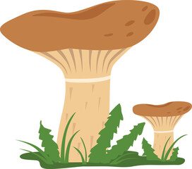 Wall Mural - Growing mushroom in nature. Milk agaric cartoon icon