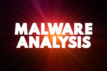 Poster - Malware Analysis text quote, concept background