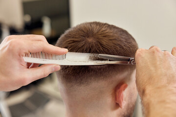 Wall Mural - hairdresser does haircut for caucasian bearded man