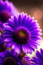 Close Up Of Purple Flower