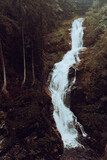 Fototapeta Na ścianę - Wodospad w lesie