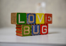 Love Bug Spelled Out On Wood Blocks On Textured Background
