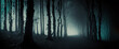 Dark forest panorama fantasy landscape. Mysterious background. digital art, generative ai