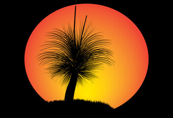 silhouette of grass tree moon background