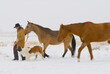 © Cavan Images - A young man walks through the snow with his horses at a ranch in Three Forks, Montana.