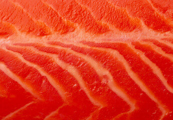 Poster - Salmon red fish fillet as a background.