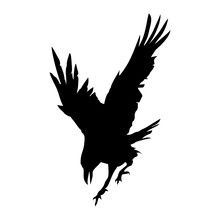 Crow Silhouette 2